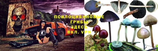 ГАЛЛЮЦИНОГЕННЫЕ ГРИБЫ Алексеевка